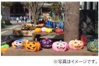 「大阪ダイヤモンドフェスタ2025 ～Autumn～」を10月14日（火）～18日（土）に開催します