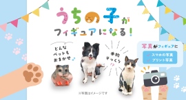 写真1枚で世界に一つのフィギュアが完成!建設事業者が“うちの子”を形にできる新サービスを開始 写真1枚で世界に一つのフィギュアが完成!建設事業者が“うちの子”を形にできる新サービスを開始