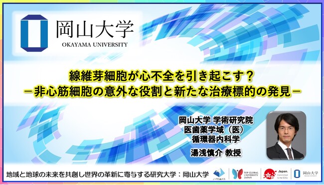 線維芽細胞が心不全を引き起こす？-非心筋細胞の意外な役割と新たな治療標的の発見-〔岡山大学, 東京大学, 慶應義塾大学, 国際医療福祉大学〕