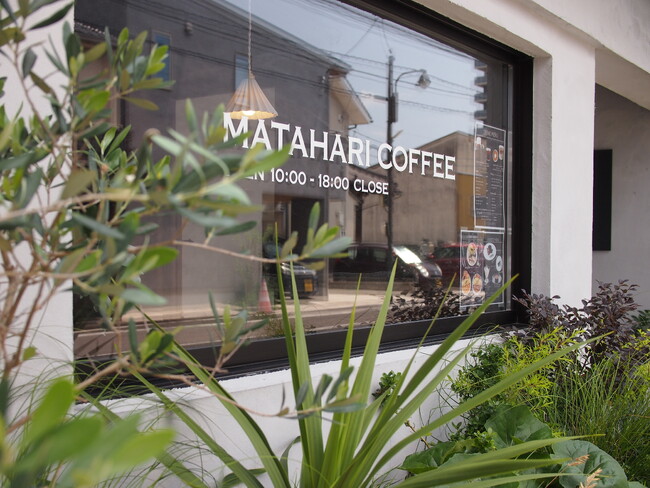 【松江市】MATAHARI COFFEE新作スイーツ発売。＜出雲茶寮 藤＞とコラボレーション「出雲抹茶とエスプレッソのレアチーズケーキ」