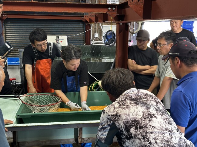 【北海道白糠町】天然ブリの品質向上に向け「船上活締め」講習を初開催！