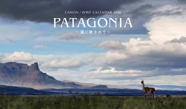 「キヤノン/WWF岩合光昭カレンダー2026 PATAGONIA～風に吹かれて～」を発売