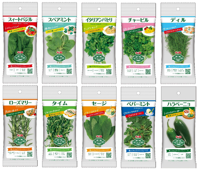 毎日の料理に香りと彩りを　フレッシュハーブ　小袋　１０品１０月６日　リフレッシュ