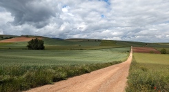 『ひとり歩くスペイン巡礼路　今　そこだけに広がる世界』2025年10月発刊決定！