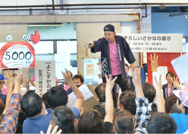 第24回よこすかさかな祭りの開催