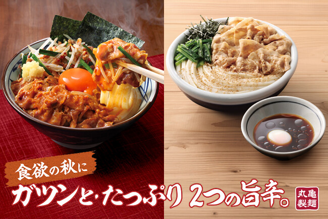 《やっときた秋に、ガツンとパンチのある味わいを》打ち立てうどんに8種の具材で食欲の秋を味わい尽くす 完全新作『旨辛 肉盛りニラ玉ぶっかけうどん』登場！