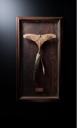 【西武渋谷店】大森 暁生展-あの日の夢は夜咲（わら）う-/-月満ちし神々-