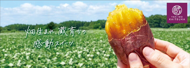 蔵出し焼き芋かいつか　ブランドリニューアル　　　　　　　　　　　　　　　　　　　　　　　　　　　　　　　　　　　　　　　　　　　　紅天使、シルク天使、むらさき天使をシリーズ展開