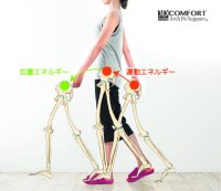 スリッパの新たな可能性3Dコンフォートの歩行安定効果を大学研究で実証