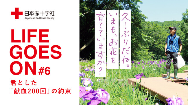 献血者と輸血を受けた家族を結ぶ「命の実話」を映像化