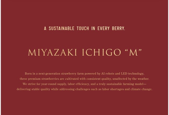 ディープテック・スタートアップAGRIST、1粒1000円イチゴ「M」の世界展開構想を発表。米良企業グループのLED栽培技術を活用