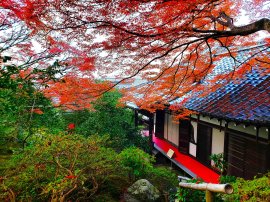 本堂と紅葉 本堂と紅葉
