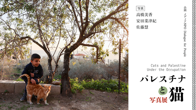 【「パレスチナと猫」写真展・開催のお知らせ】『パレスチナの猫』に続く第２弾ー10/8～キャッツミャウブックス（東京）にて開催決定！