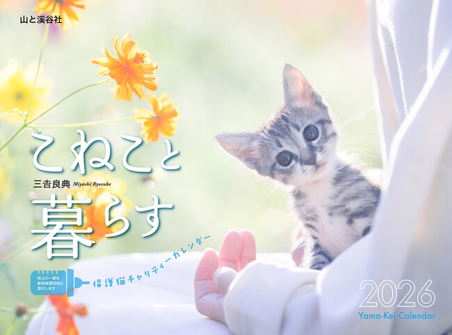 全国の“保護猫活動”を応援するチャリティーカレンダー『こねこと暮らす』が発売！