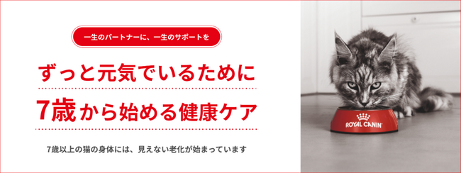 ずっと元気でいるために、7歳から始めるペットの健康ケア「ロイヤルカナン ヘルシーエイジングキャンペーン」をスタート