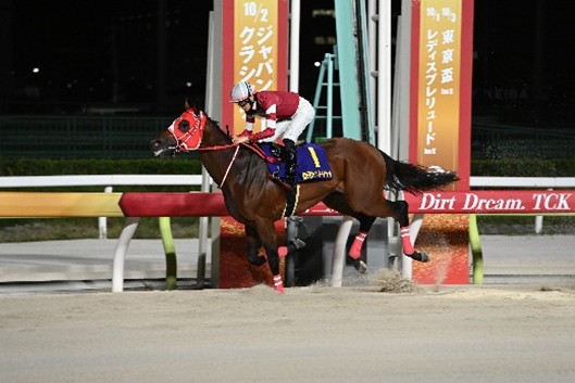 実力ある地方馬・中央馬が集結！3夜連続のダートグレード競走！！