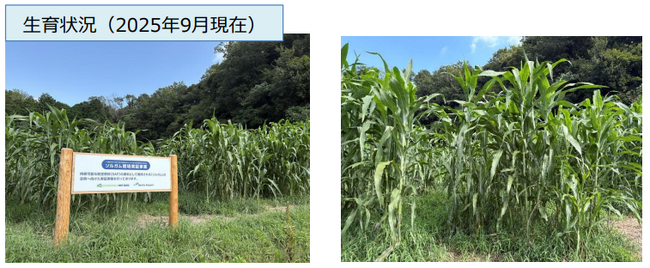成田空港でSAFの”千産千消”に向けた取り組みを行います