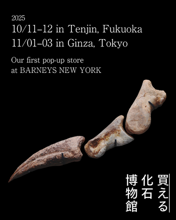 【東京＆福岡】本物の恐竜、古生物の化石が購入できる「買える化石博物館」初のポップアップをバーニーズニューヨーク銀座本店、福岡店にて2025年10月＆11月に開催