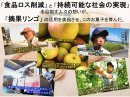 摘果リンゴ地域生産との協働(イメージ)
