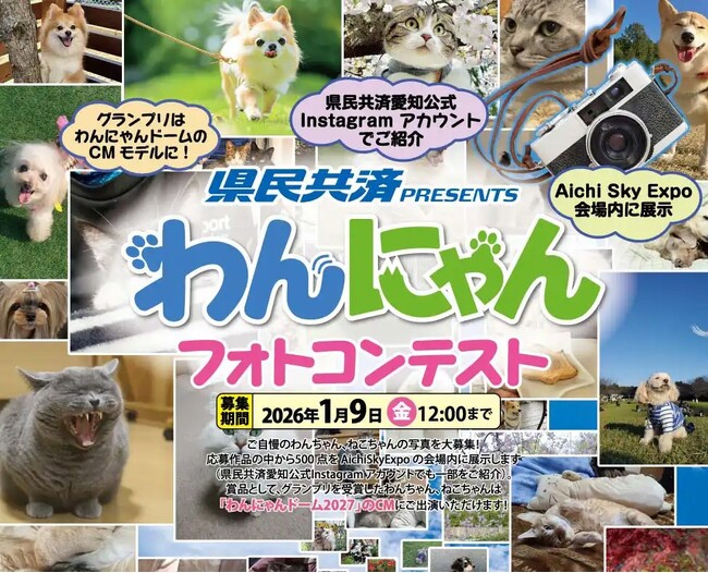 愛するわんちゃん・ねこちゃんがCMデビューのチャンス！「県民共済 presents わんにゃんフォトコンテスト」募集スタート!!