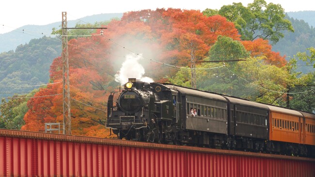 Marbull X、大井川鐵道の新サービス「大鐵members」立ち上げを支援。ローカルコンテンツ×NFTで地域創生