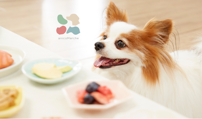 愛犬用おやつが毎月届く新サービス「anicoMarche」登場！