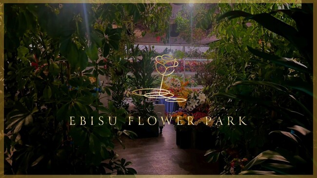 【EBISU FLOWER PARK】毎月変わるお花畑、10月はコスモスからマムへ──秋を彩る店内演出が開始