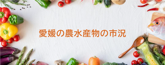 「愛媛の農水産物の市況」Web版ページを更新　計7市場に拡大