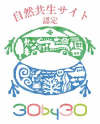 【東芝デバイス＆ストレージ/加賀東芝エレクトロニクス】「加賀東芝の森」が地域生物多様性増進法に基づく「自然共生サイト」に認定
