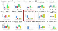 【横浜市立大学】乳腺組織上のマイクロRNA発現に着目した乳癌脳転移再発予測バイオマーカーの探索