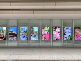 展示例:御茶ノ水の風景(5月の神田祭) 展示例:御茶ノ水の風景(5月の神田祭)
