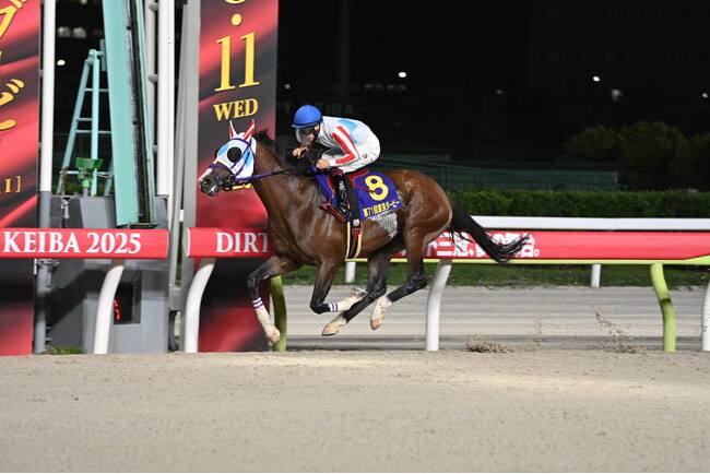 10月8日（水）3歳ダート三冠競走最終戦「ジャパンダートクラシック（JpnI）」出走馬16頭と枠順が決定！！JRA・ナチュラルライズが新ダート三冠創設後初の三冠達成なるか