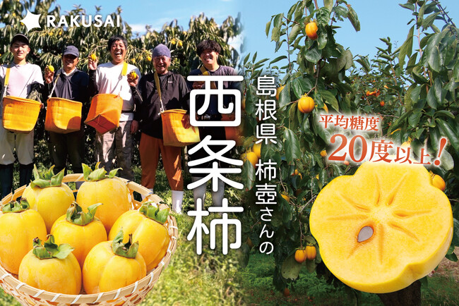 知る人ぞ知る、“日本一美味しい柿!?”が今年も期間限定で登場！島根県産　出雲市 『柿壺さんの西条柿』 販売開始