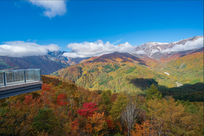 白馬岩岳マウンテンリゾート、三段紅葉シーズン到来にあわせナイトイベント「IWATAKE AUTUMN NIGHT 2025」11月8日に開催