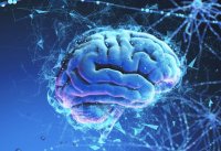 ニューロシューティカルズ、米国VB企業のTheracle社に出資