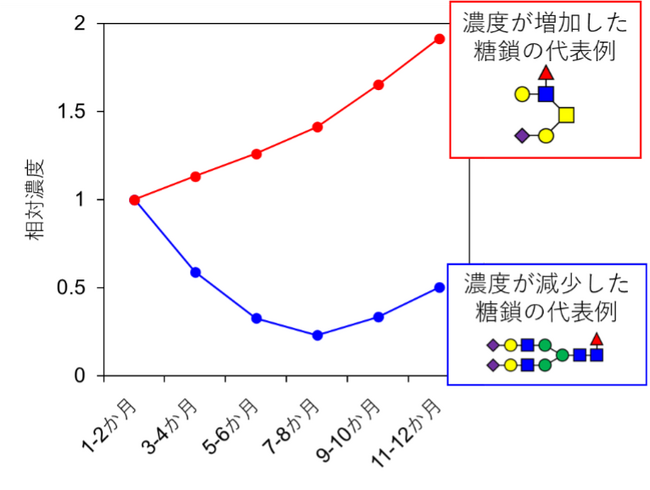 雪印メグミルクと雪印ビーンスタークの母乳調査　国内初 日本人母乳中の糖鎖の濃度変化を詳細に解析　「第44回日本糖質学会年会」にて発表