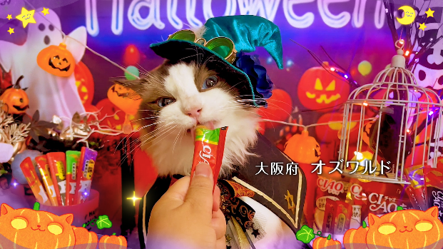 いなばペットフード 「ちゅ~る」ハロウィンTVCM動画を公開!猫ちゃん動画第一弾公開!