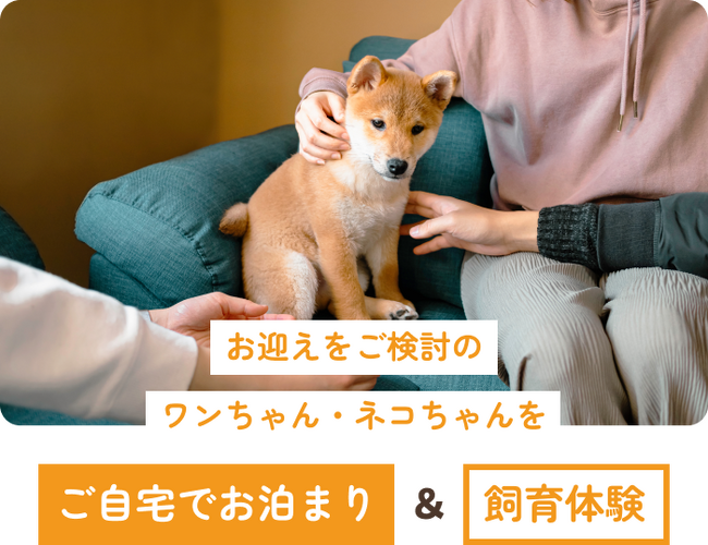 ペッツファーストトライアルホームステイ制度 2024年度実績を公開