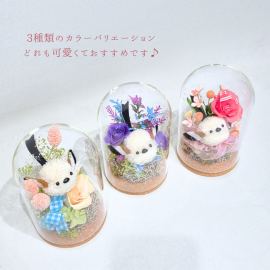 3羽のシマエナガ