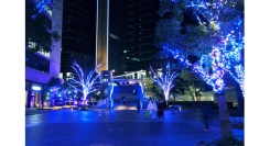 横浜最大級のまちづくり型イルミネーション『ヨコハマミライト』先行点灯が10/4(土)スタート