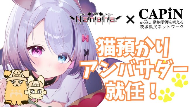 VTuber「Nanoha。」がCAPINの猫預かり愛護アンバサダーに就任