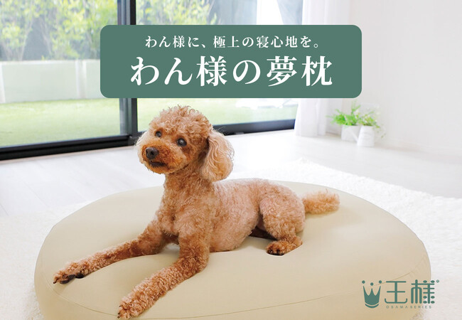 わん様に、極上の寝心地を。ロングセラー枕「王様の夢枕」などを発売する「王様」ブランド、超極小ビーズをたっぷり使った犬用ベッド「わん様の夢枕」10月7日（火）新発売。