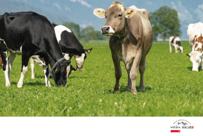 「swiss meat」、焼肉ビジネスフェア2025大阪に参加し、日本市場での活動を強化