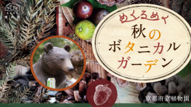 めくるめく秋のボタニカルガーデン めくるめく秋のボタニカルガーデン