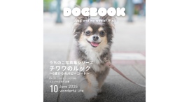 我が子の写真を送るだけで書籍化決定!?「うちのこ写真集」シリーズ第13弾『チワワのルック〜6歳からのパピーコート～（仮）』が発売決定