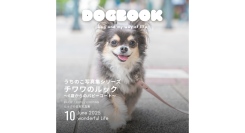 我が子の写真を送るだけで書籍化決定!?「うちのこ写真集」シリーズ第13弾『チワワのルック〜6歳からのパピーコート～（仮）』が発売決定