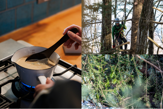 “Forest to table”という提案。長野県伊那谷のモミの木と4種類のスパイスをブレンドした「モミの葉のチャイ」を新発売。