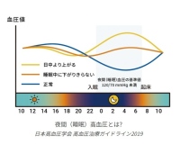 【特設Webページ公開】Ａ＆Ｄは、夜間（睡眠）高血圧に関する特設Webページを公開いたしました。