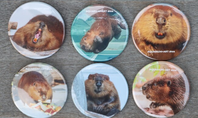 SNSで募集した「#第3弾アトア缶バッチ」のデザインが決定！【神戸の港の水族館 atoa】