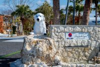 淡路島のハワイアンリゾート施設「Awaji Lanikai Square」で秋の特別イベントが10/11(土)～13(月・祝)に開催！